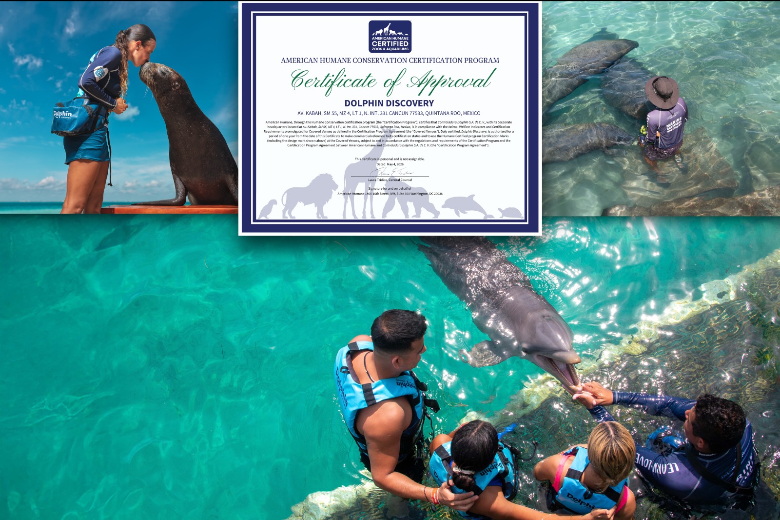 DOLPHIN DISCOVERY RENUEVA LA CERTIFICACIÓN AMERICAN HUMANE PARA SUS HÁBITATS EN EL CARIBE MEXICANO